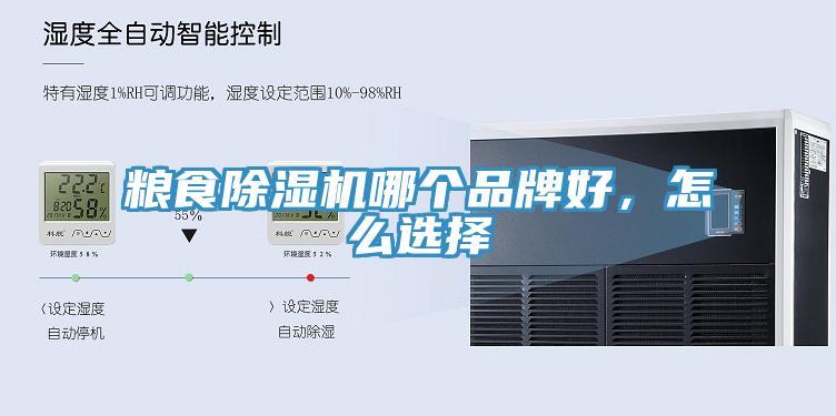 粮食小黄片直播视频哪个品牌好，怎么选择