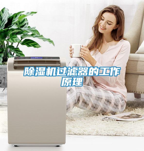小黄片直播视频过滤器的工作原理