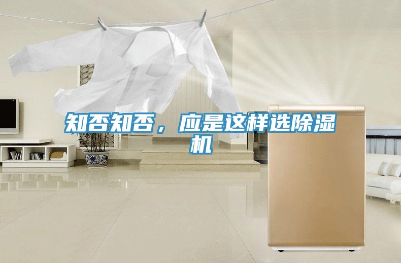 知否知否，应是这样选小黄片直播视频