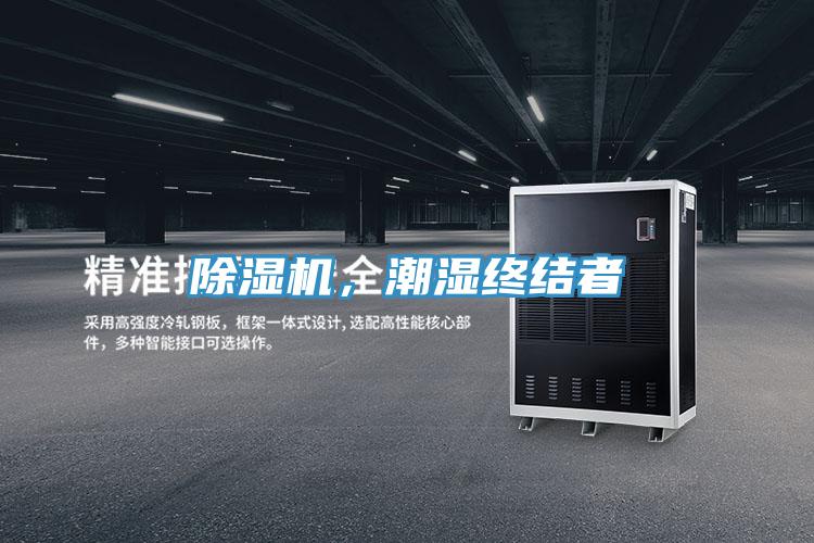 小黄片直播视频，潮湿终结者