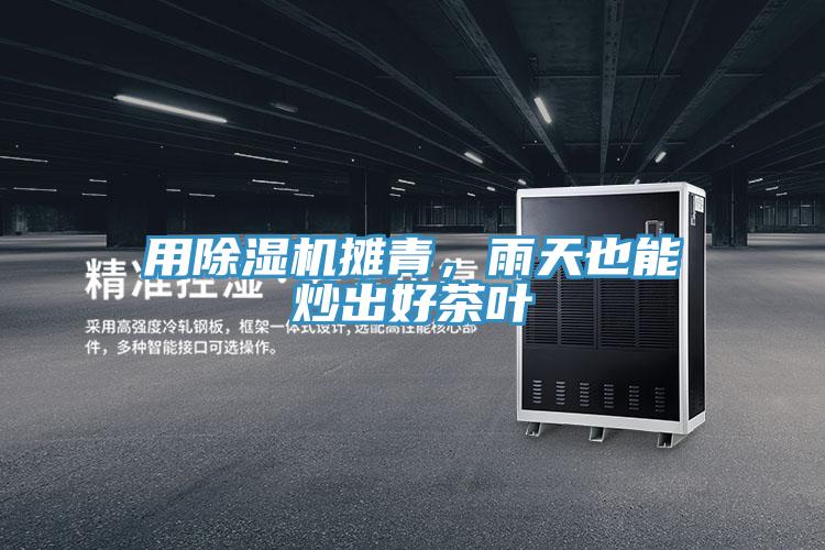 用小黄片直播视频摊青，雨天也能炒出好茶叶