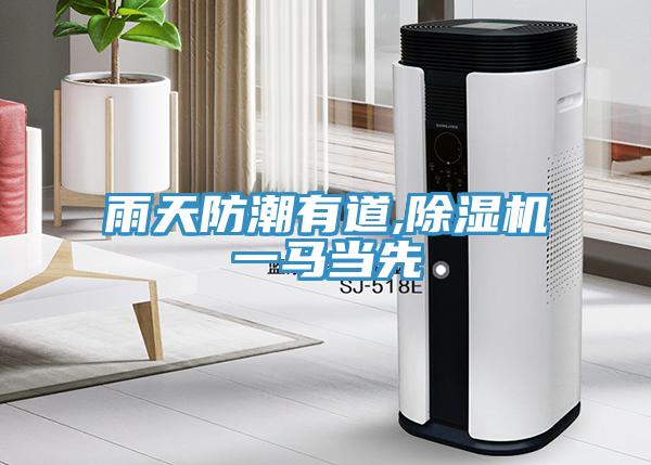 雨天防潮有道,小黄片直播视频一马当先