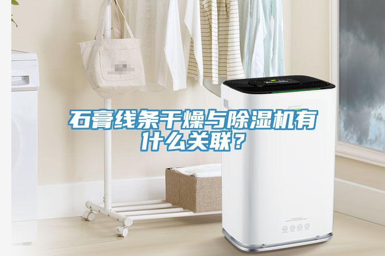 石膏线条干燥与小黄片直播视频有什么关联？