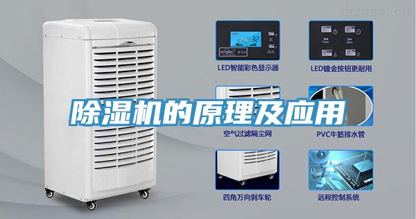小黄片直播视频的原理及应用