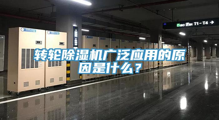 转轮小黄片直播视频广泛应用的原因是什么？