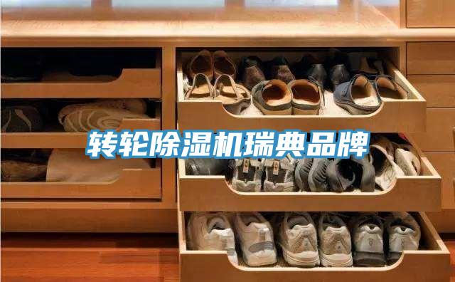 转轮小黄片直播视频瑞典品牌