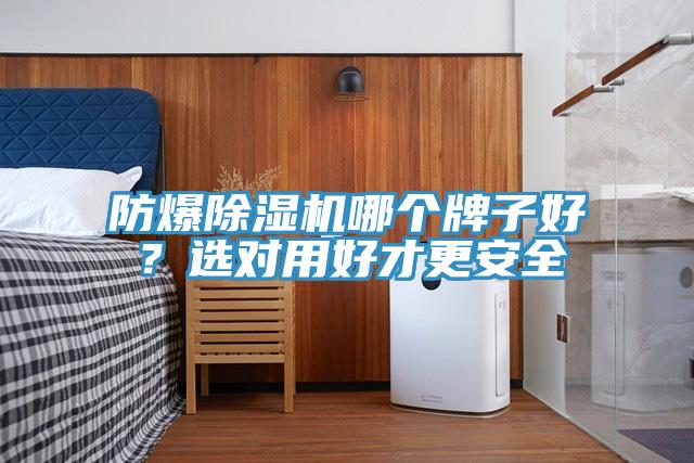 防爆小黄片直播视频哪个牌子好？选对用好才更安全