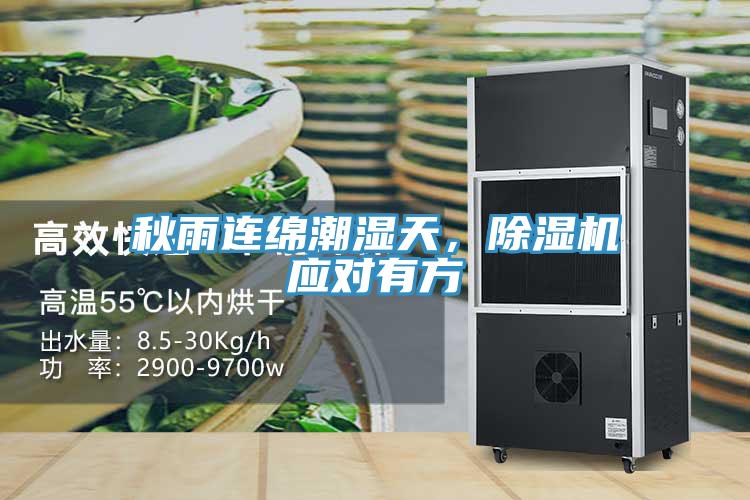 秋雨连绵潮湿天，小黄片直播视频应对有方