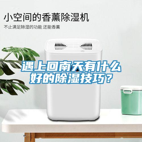 遇上回南天有什么好的除湿技巧？