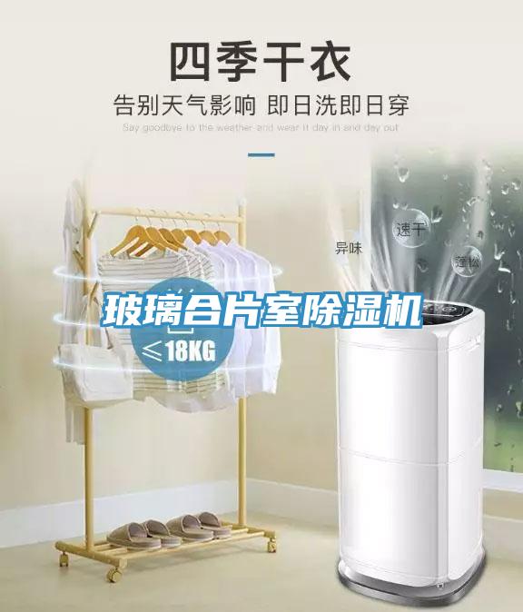 玻璃合片室小黄片直播视频