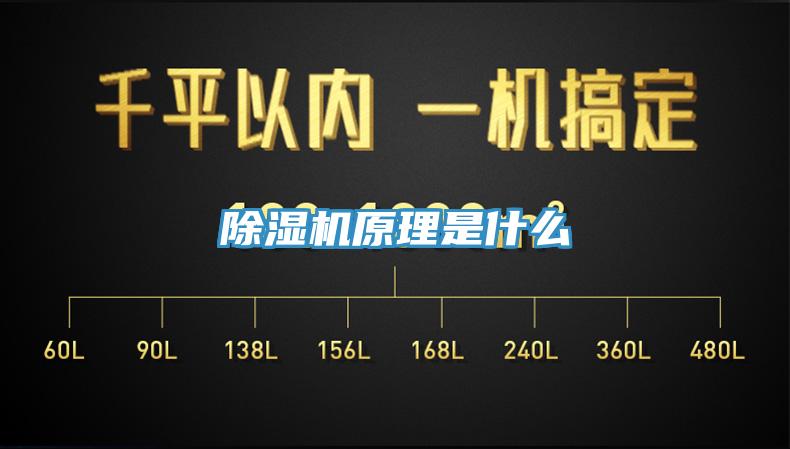 小黄片直播视频原理是什么