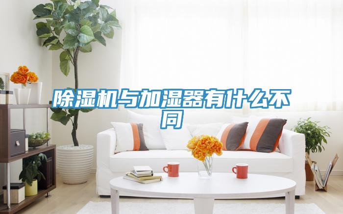 小黄片直播视频与加湿器有什么不同