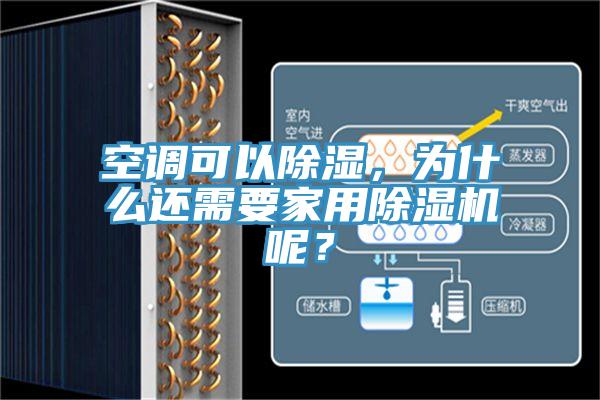 空调可以除湿，为什么还需要家用小黄片直播视频呢？