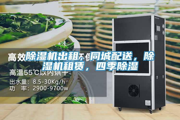 小黄片直播视频出租，同城配送，小黄片直播视频租赁，四季除湿