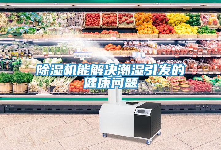 小黄片直播视频能解决潮湿引发的健康问题