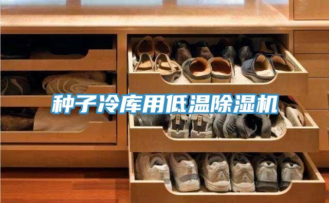 种子冷库用低温小黄片直播视频