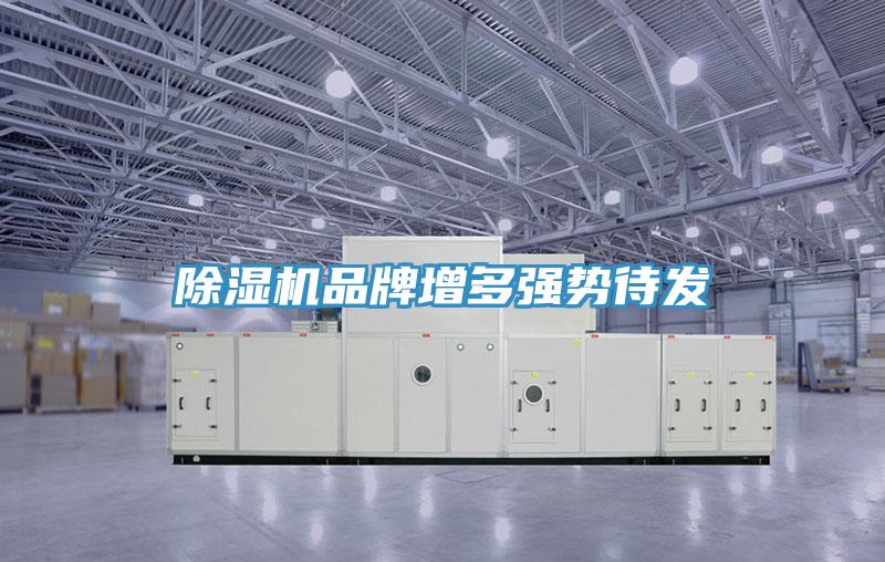 小黄片直播视频品牌增多强势待发