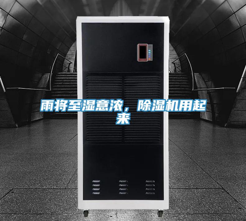 雨将至湿意浓，小黄片直播视频用起来