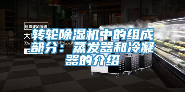 转轮小黄片直播视频中的组成部分：蒸发器和冷凝器的介绍
