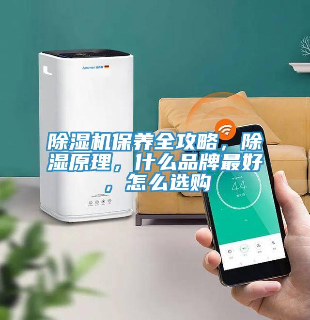 小黄片直播视频保养全攻略，除湿原理，什么品牌最好，怎么选购