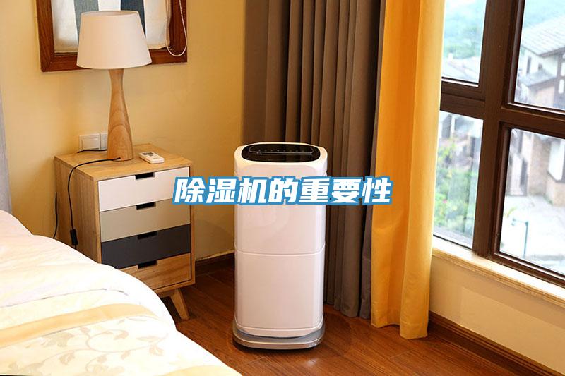 小黄片直播视频的重要性