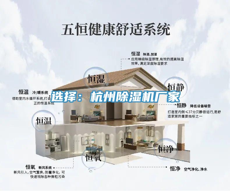 选择：杭州小黄片直播视频厂家