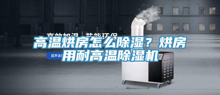 高温烘房怎么除湿？烘房用耐高温小黄片直播视频