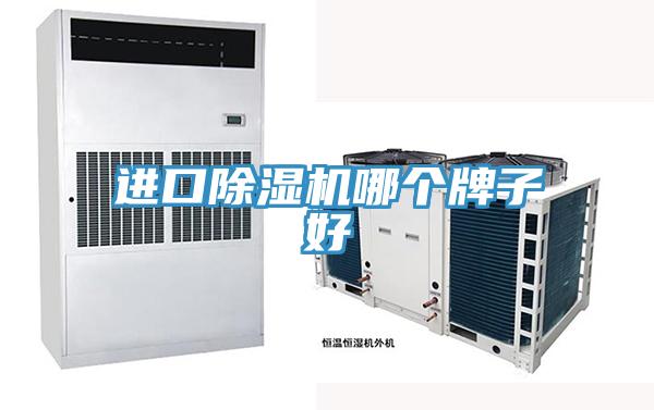 进口小黄片直播视频哪个牌子好