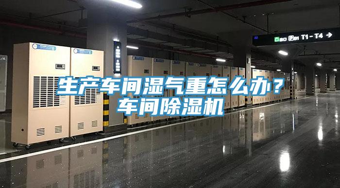 生产车间湿气重怎么办？车间小黄片直播视频