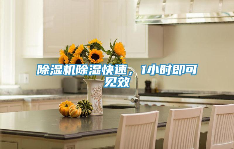 小黄片直播视频除湿快速，1小时即可见效