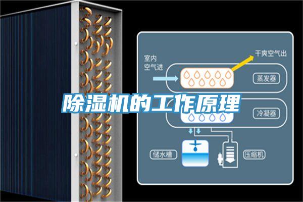 小黄片直播视频的工作原理