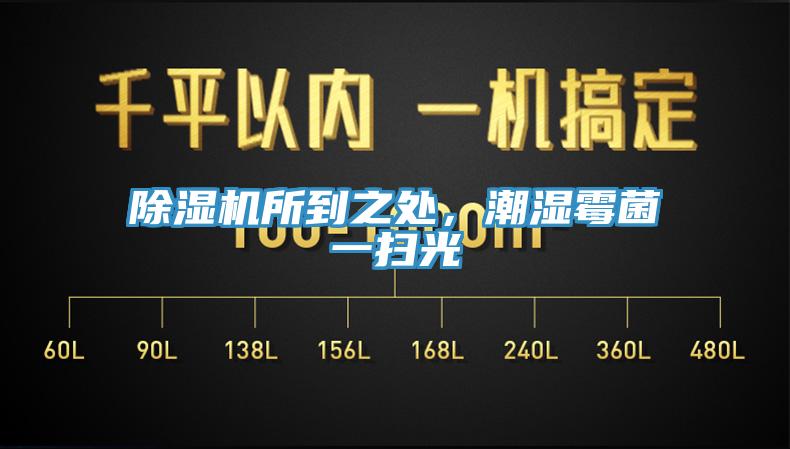 小黄片直播视频所到之处，潮湿霉菌一扫光