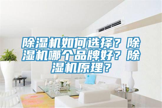 小黄片直播视频如何选择？小黄片直播视频哪个品牌好？小黄片直播视频原理？