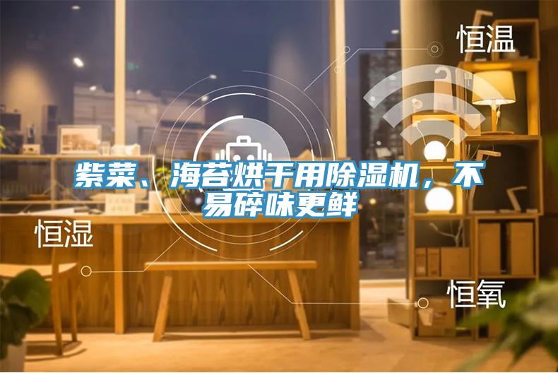 紫菜、海苔烘干用小黄片直播视频，不易碎味更鲜