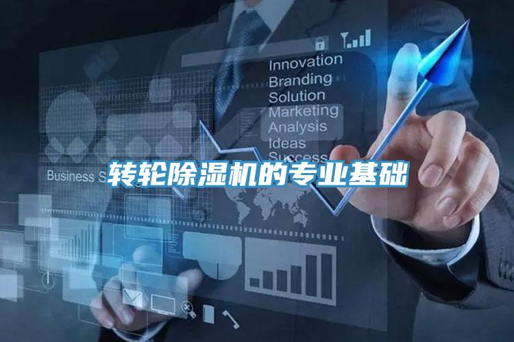 转轮小黄片直播视频的专业基础