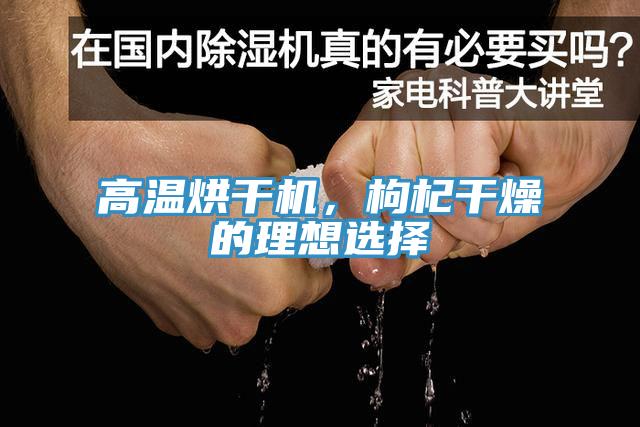 高温烘干机，枸杞干燥的理想选择