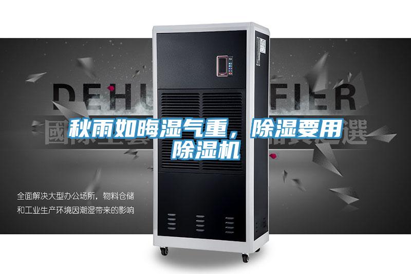 秋雨如晦湿气重，除湿要用小黄片直播视频