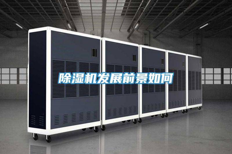 小黄片直播视频发展前景如何