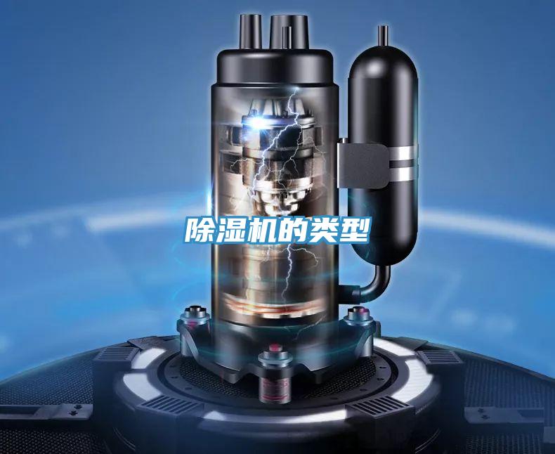 小黄片直播视频的类型