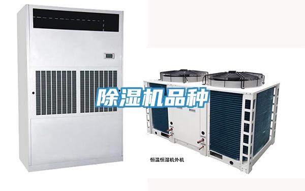小黄片直播视频品种