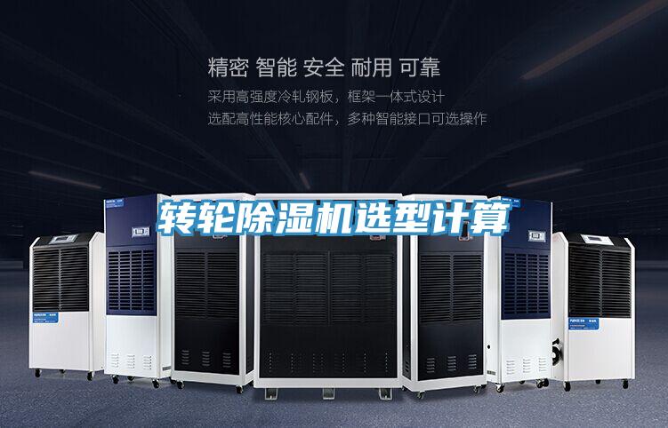 转轮小黄片直播视频选型计算