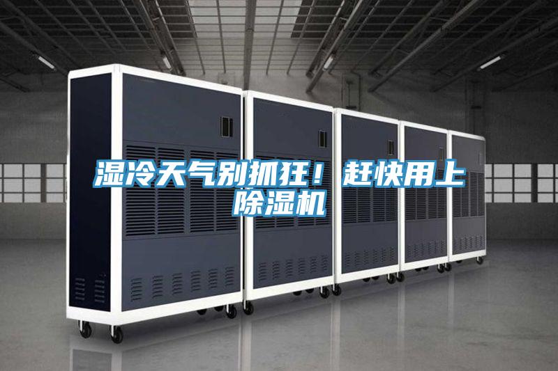 湿冷天气别抓狂！赶快用上小黄片直播视频