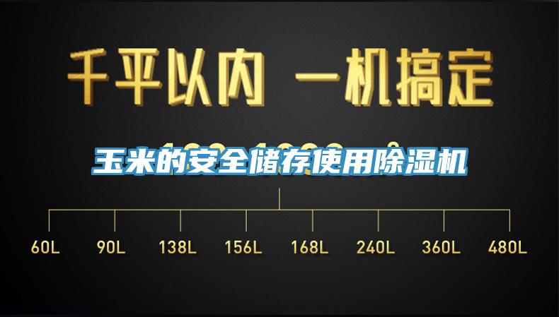 玉米的安全储存使用小黄片直播视频