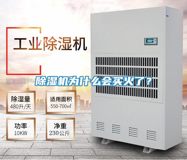 小黄片直播视频为什么会买火了？