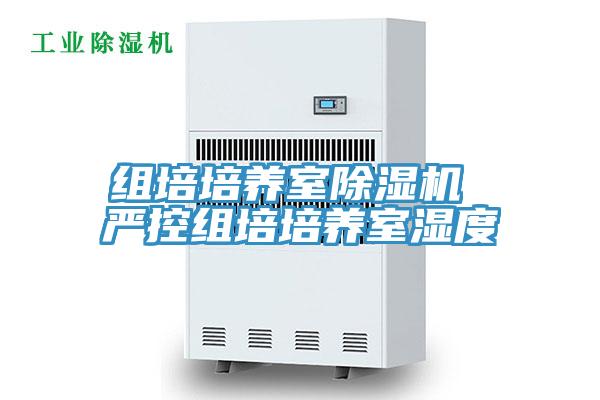 组培培养室小黄片直播视频 严控组培培养室湿度
