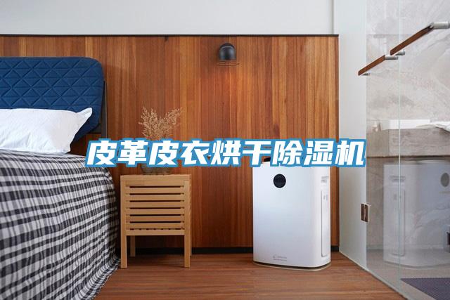 皮革皮衣烘干小黄片直播视频
