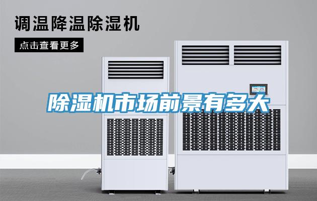 小黄片直播视频市场前景有多大