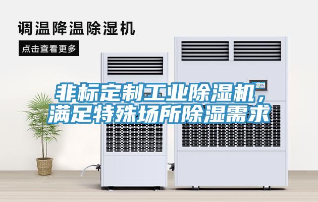 非标定制工业小黄片直播视频，满足特殊场所除湿需求