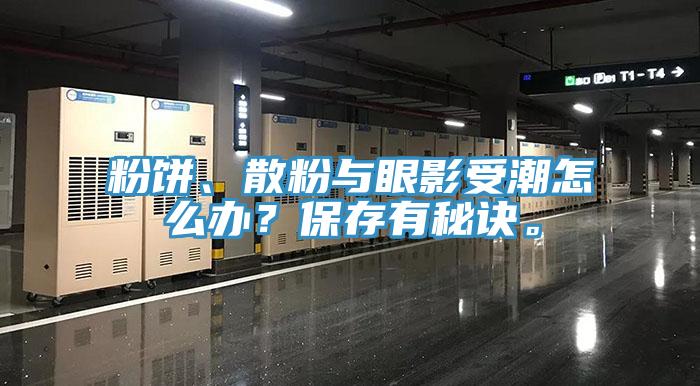 粉饼、散粉与眼影受潮怎么办？保存有秘诀。