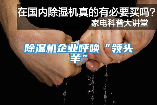 小黄片直播视频企业呼唤“领头羊”